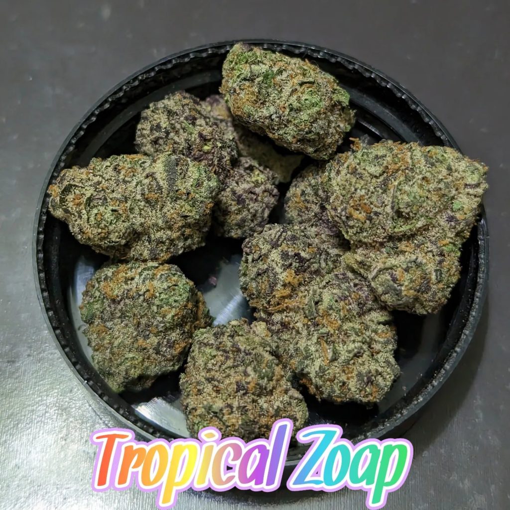 tropical zoap by deep east strain review by njmmjguy