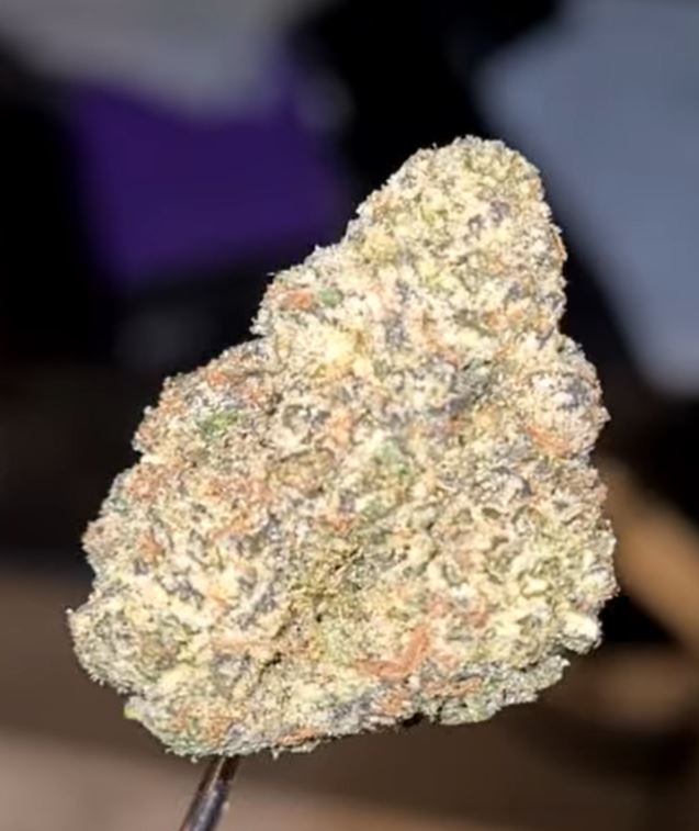 ultra thin by scum bags strain review by cannoisseurselections 2