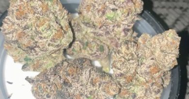 wagyu by clout king strain review by reviews_by_jude