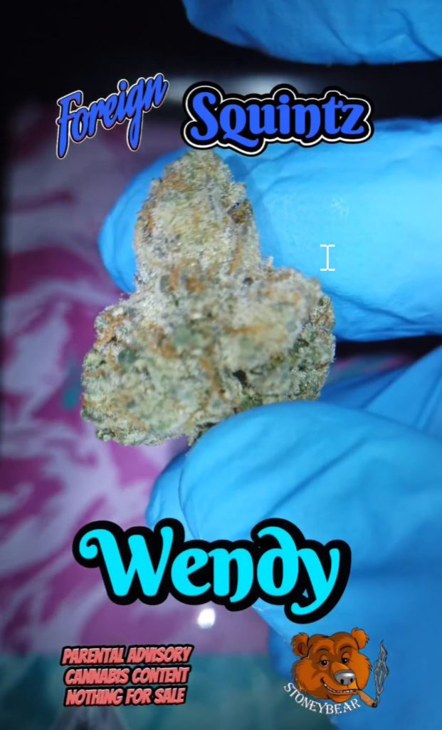 wendy by foreign genetics x squints strain review by stoneybearreviews