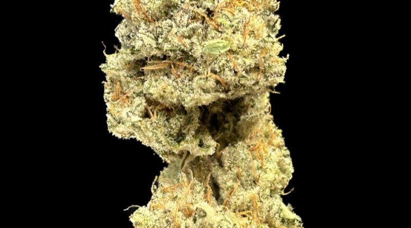 white wedding by atrain organics strain review by cali_bud_reviews 2