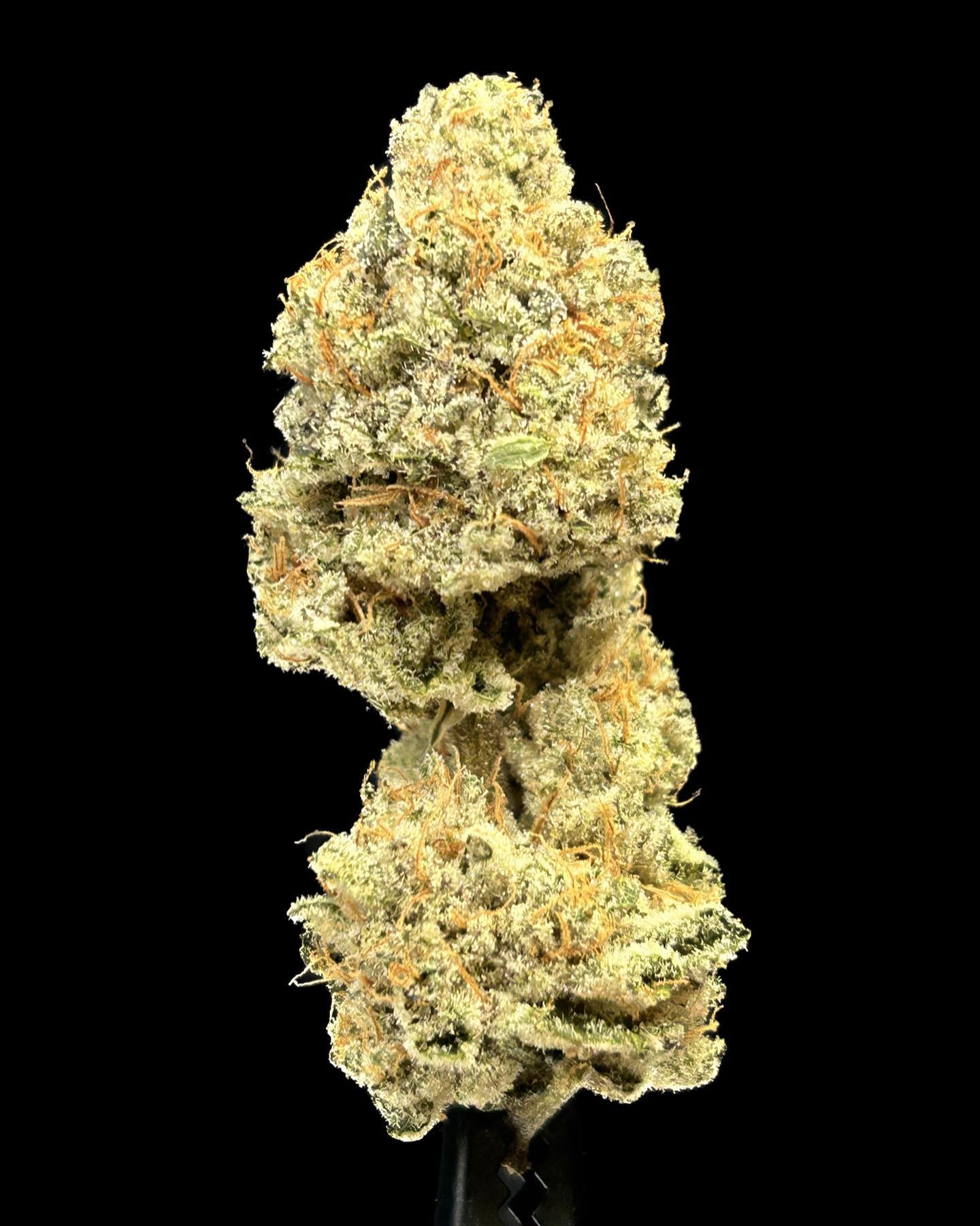 Cultivar Review: White Wedding by Atrain Organics - The Highest Critic