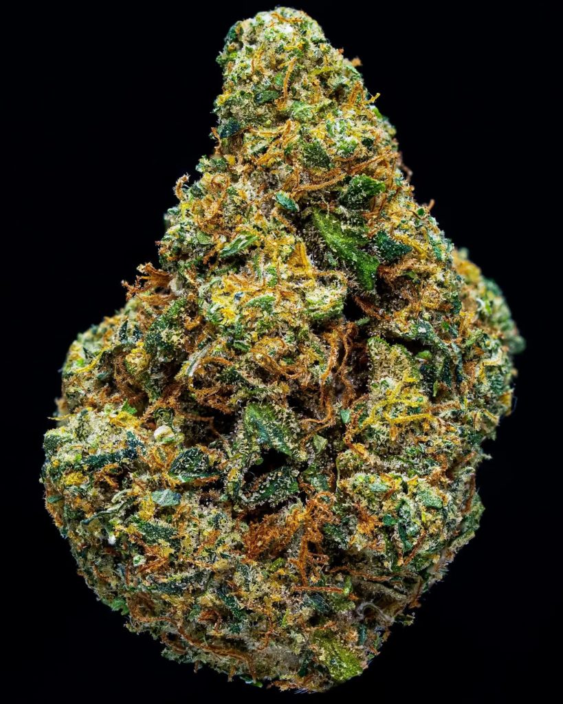 zkitzo by pass me the gas strain review by thebudstudio 2