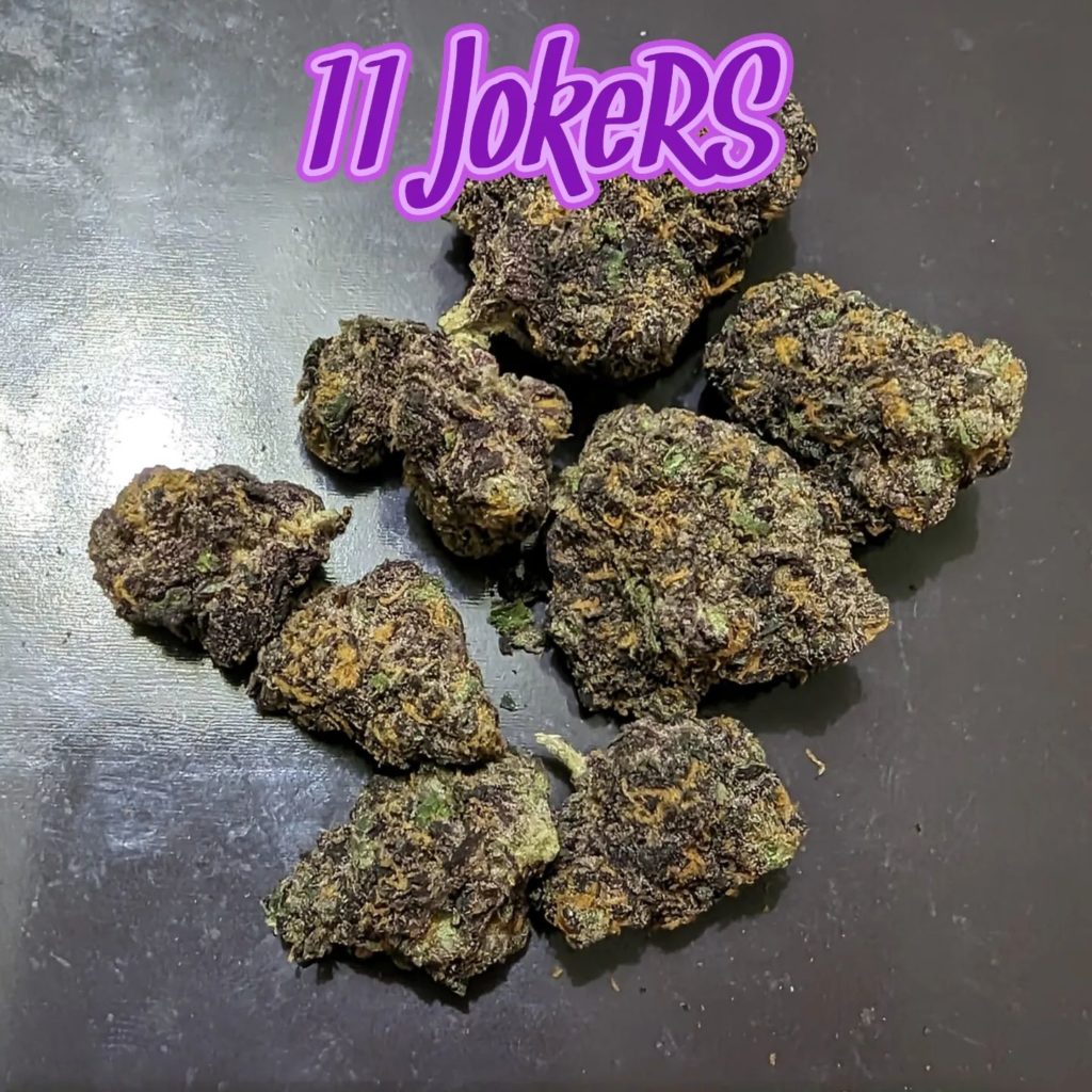 11 jokers by gas no brakes strain review by njmmjguy 2