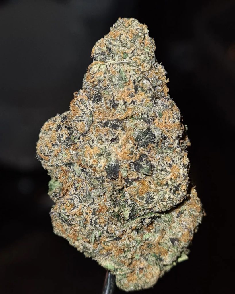 biscotti by blueprint strain review by cannoisseurselections 2