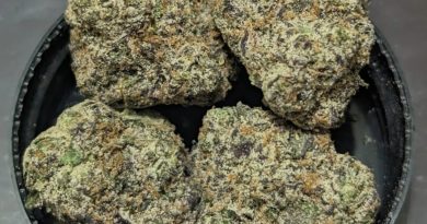 blueberry gelato by mad cow nj strain review by njmmjguy