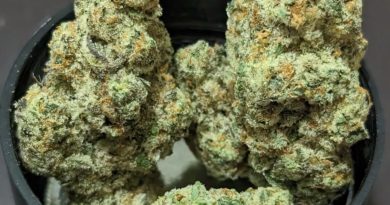 cap junky by alternative mindz strain review by njmmjguy