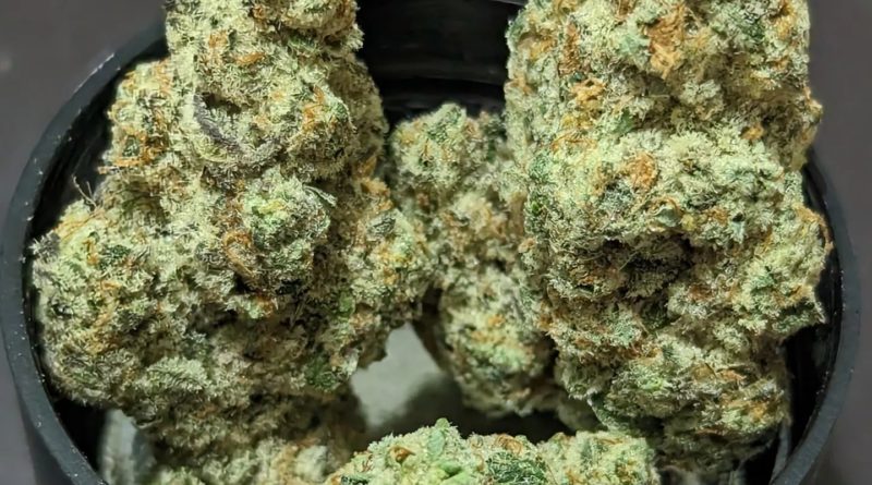 cap junky by alternative mindz strain review by njmmjguy