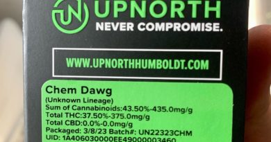 chemdawg by upnorth strain review by reviews_by_jude 2