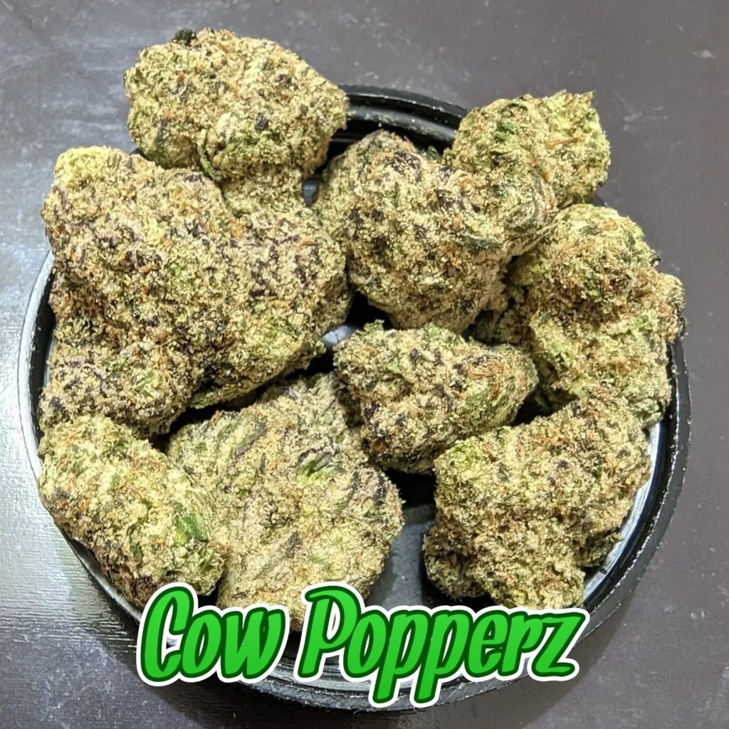 cow popperz by mad cow nj strain review by njmmjguy 2