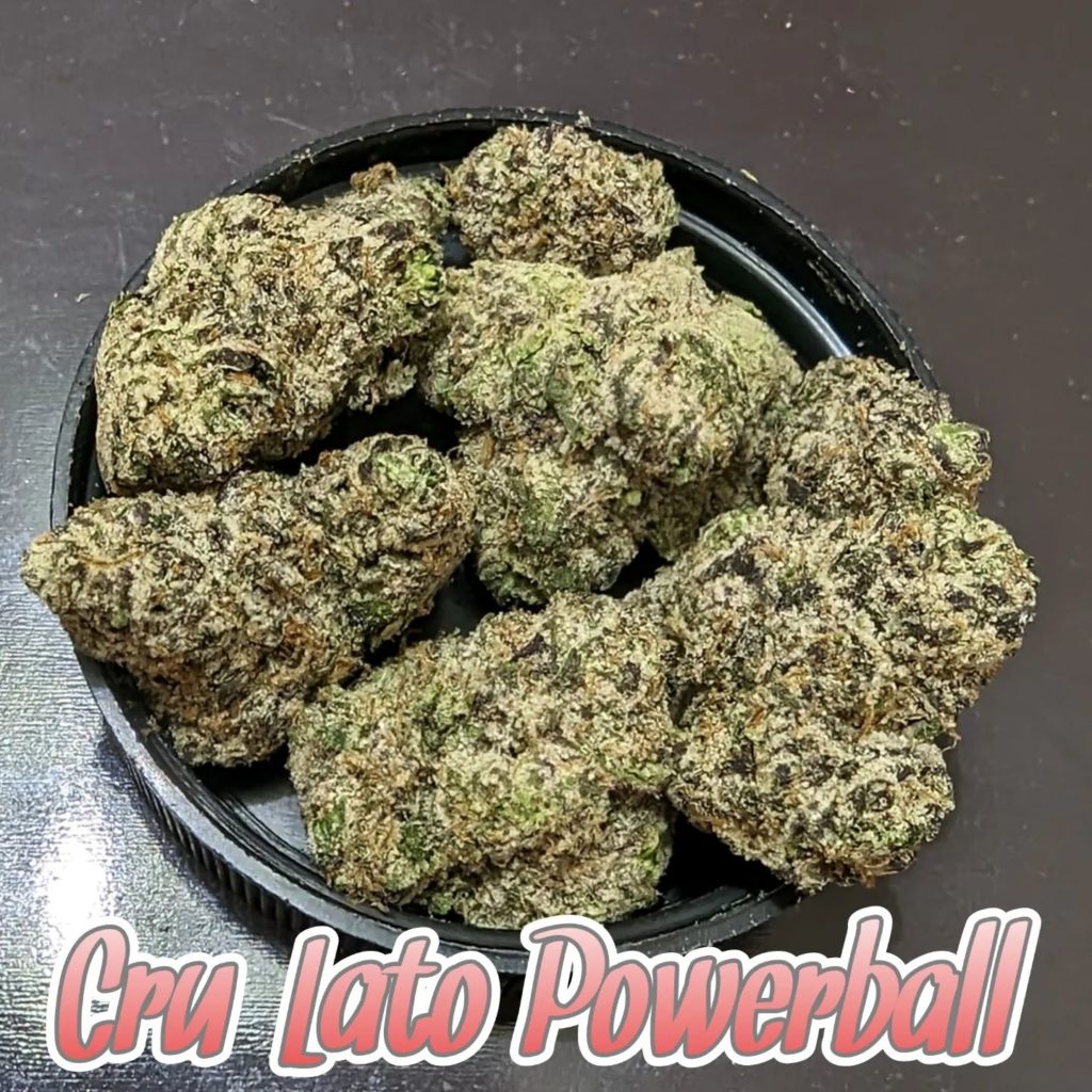 cru lato powerball by cannacru x high regards strain review by njmmjguy 2