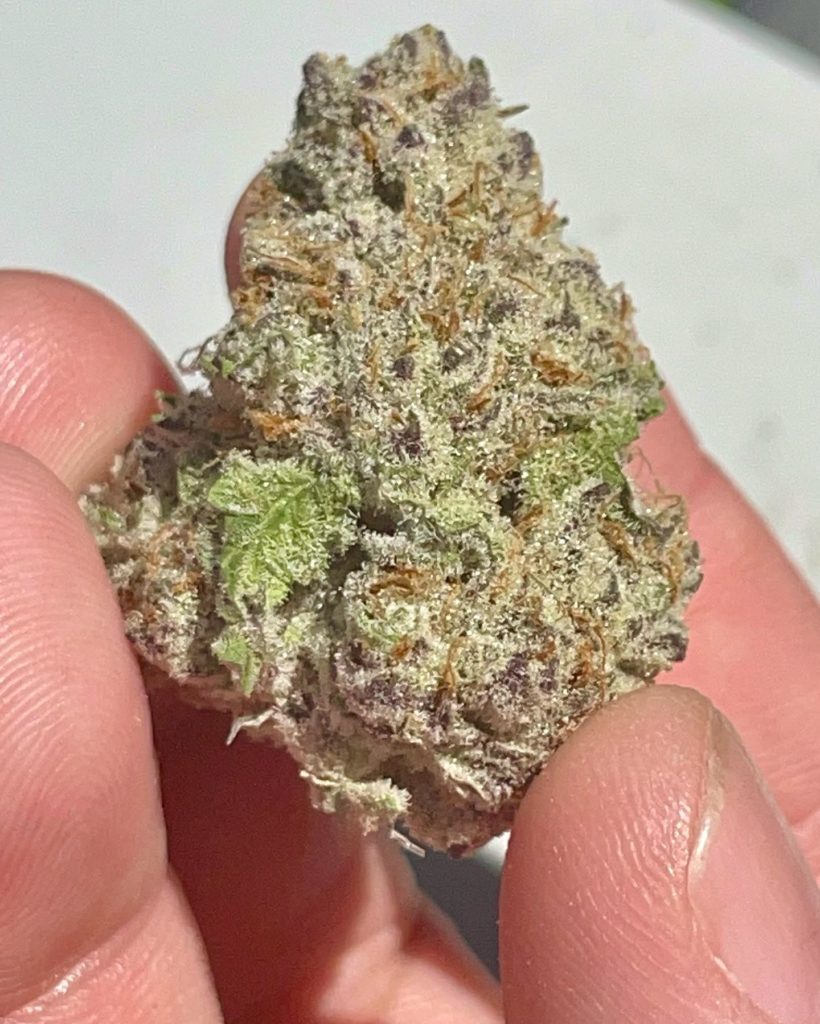 devil driver by cam private reserve strain review by reviews_by_jude 2