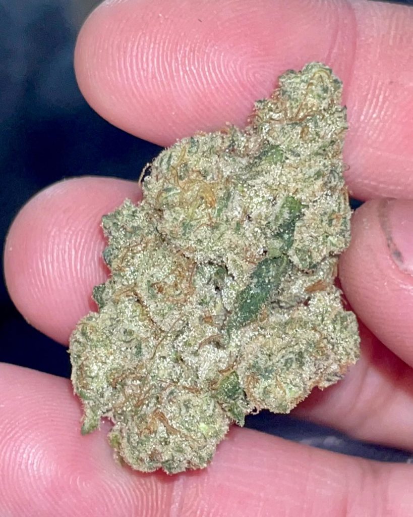 garlic cocktail by thc design strain review by reviews_by_jude 2