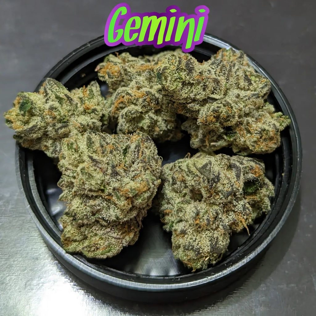 gemini by alien labs strain review by njmmjguy