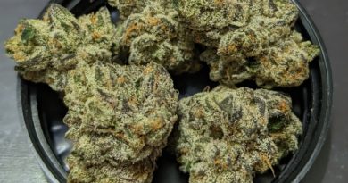 gemini by alien labs strain review by njmmjguy