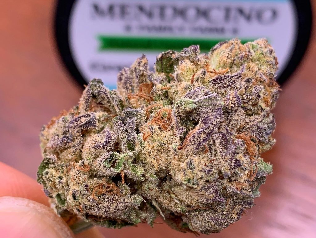 grapes and cream by mendocino family farm strain review by rollingwithsix