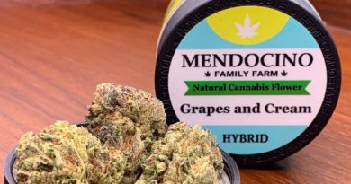 grapes and cream by mendocino family farm strain review by rollingwithsix