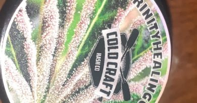 gush mints live rosin by cold craft hash co hash review by reviews_by_jude 2