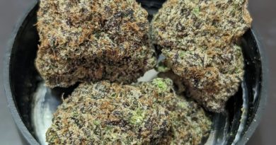 holy cow by mad cow nj strain review by njmmjguy