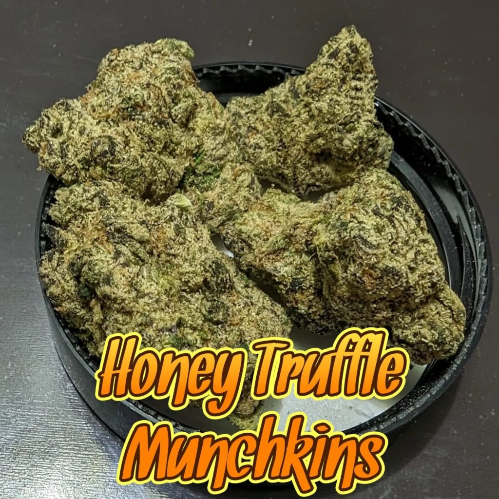 honey truffle munchkins by certz strain review by njmmjguy 2