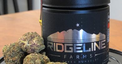 lantz by ridgeline farms strain review by rollingwithsix