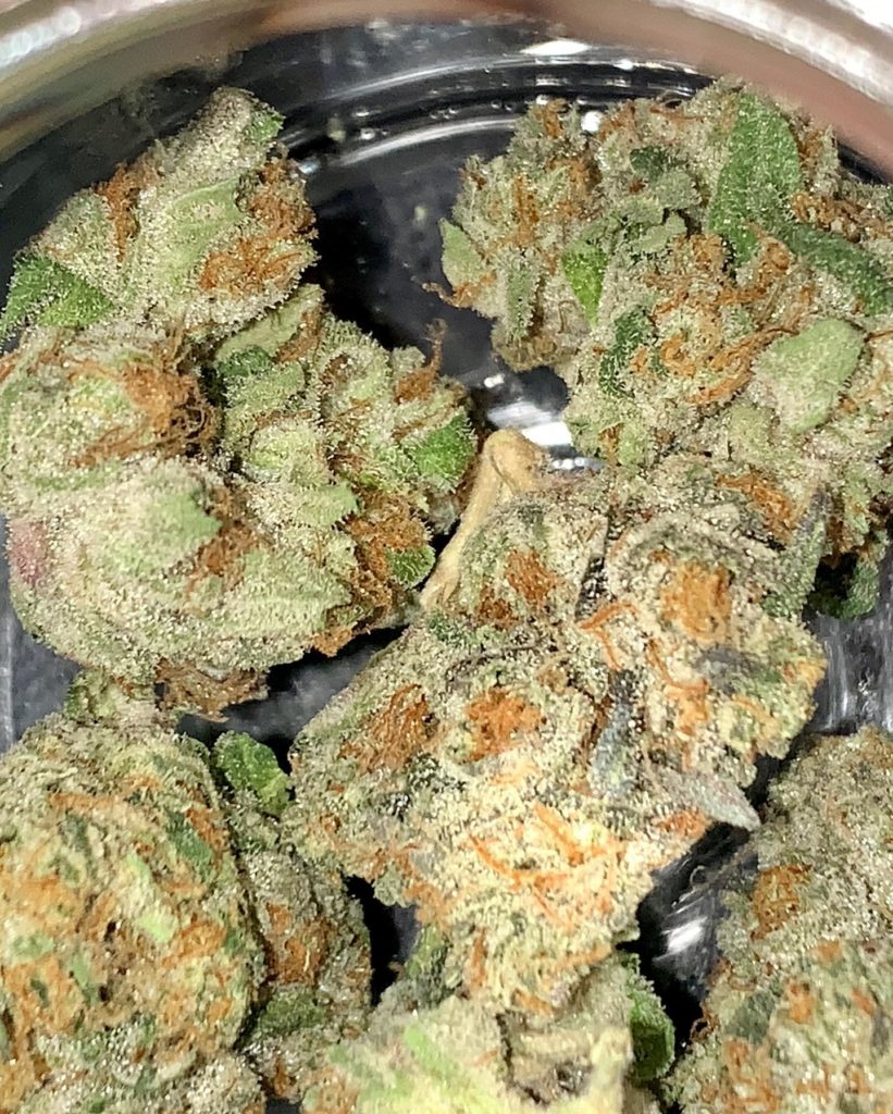 legends by fig farms strain review by reviews_by_jude 2