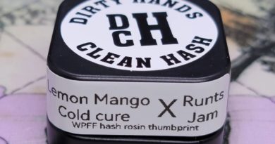 lemon mango cold cure x runts jam by dirty hands clean hash hash review by nc_rosin_reviews