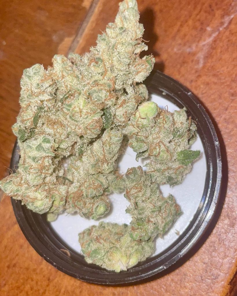 maui wowie by upnorth strain review by reviews_by_jude 2