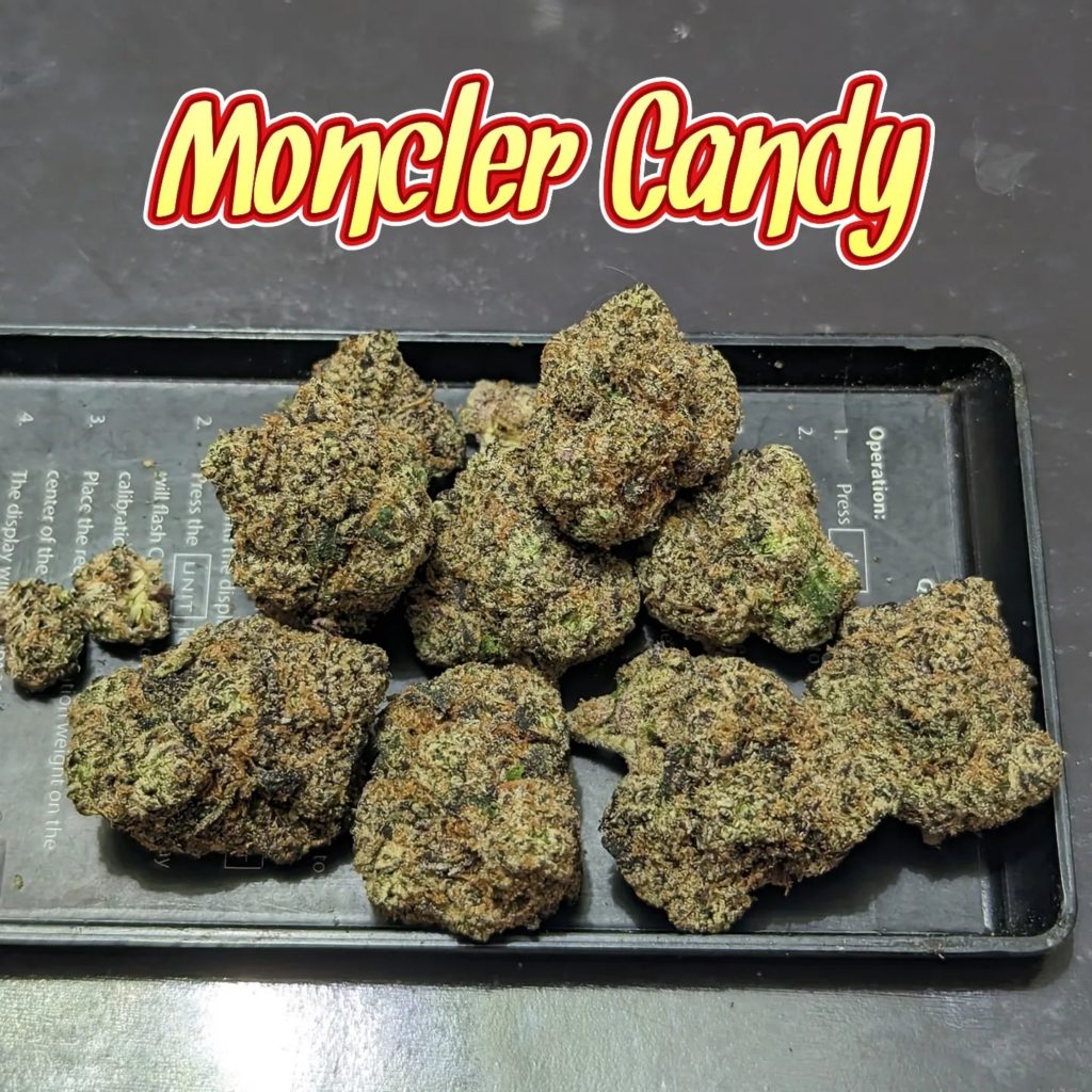 moncler candy by high regards strain review by njmmjguy