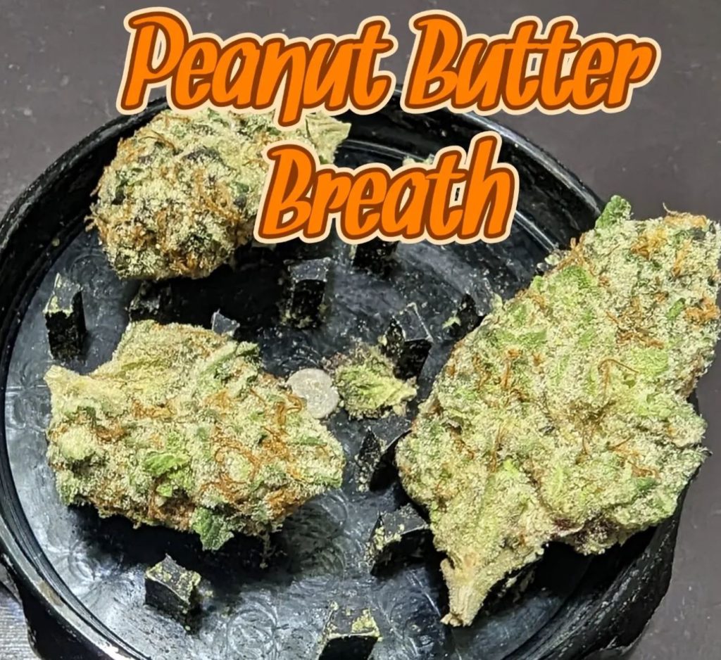 peanut butter breath by breakwater strain review by njmmjguy