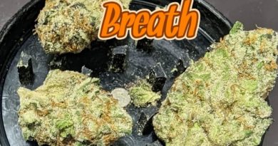 peanut butter breath by breakwater strain review by njmmjguy
