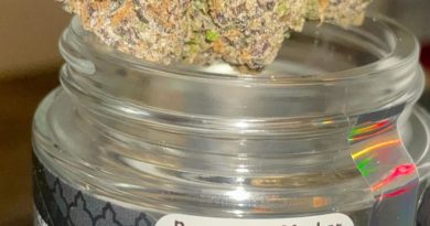 permanent marker by sattva california strain review by reviews_by_jude 2