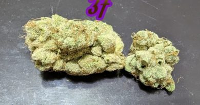 purple ombre cake 37 by breakwater strain review by njmmjguy