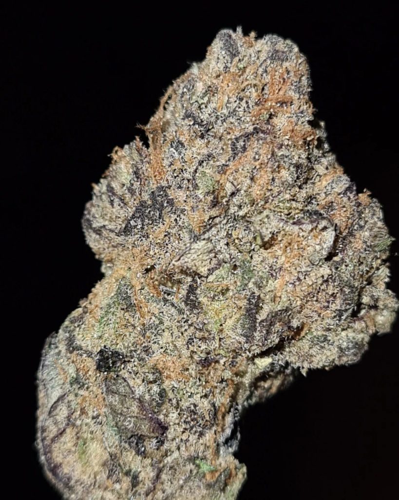 rare candi by grandiflora genetics strain review by cannoisseurselections 3