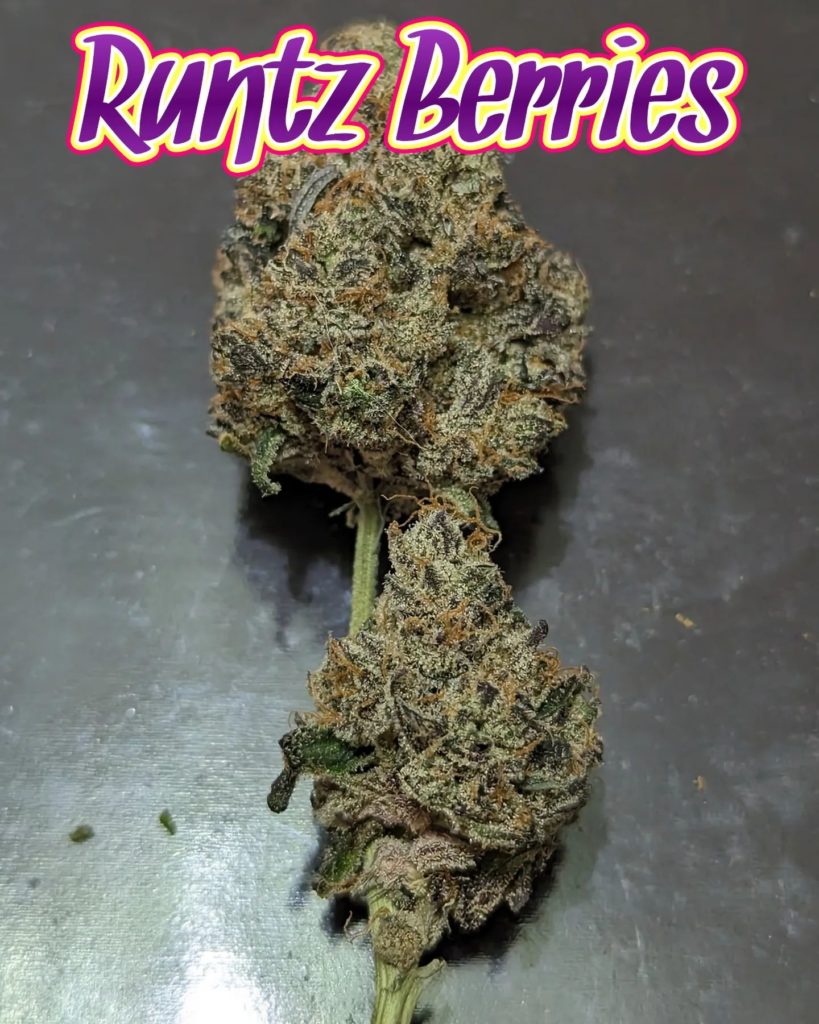 runtz berries by honey chrome cannabis strain review by njmmjguy