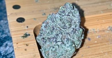 runtz by homeboy up the hill strain review by reviews_by_jude