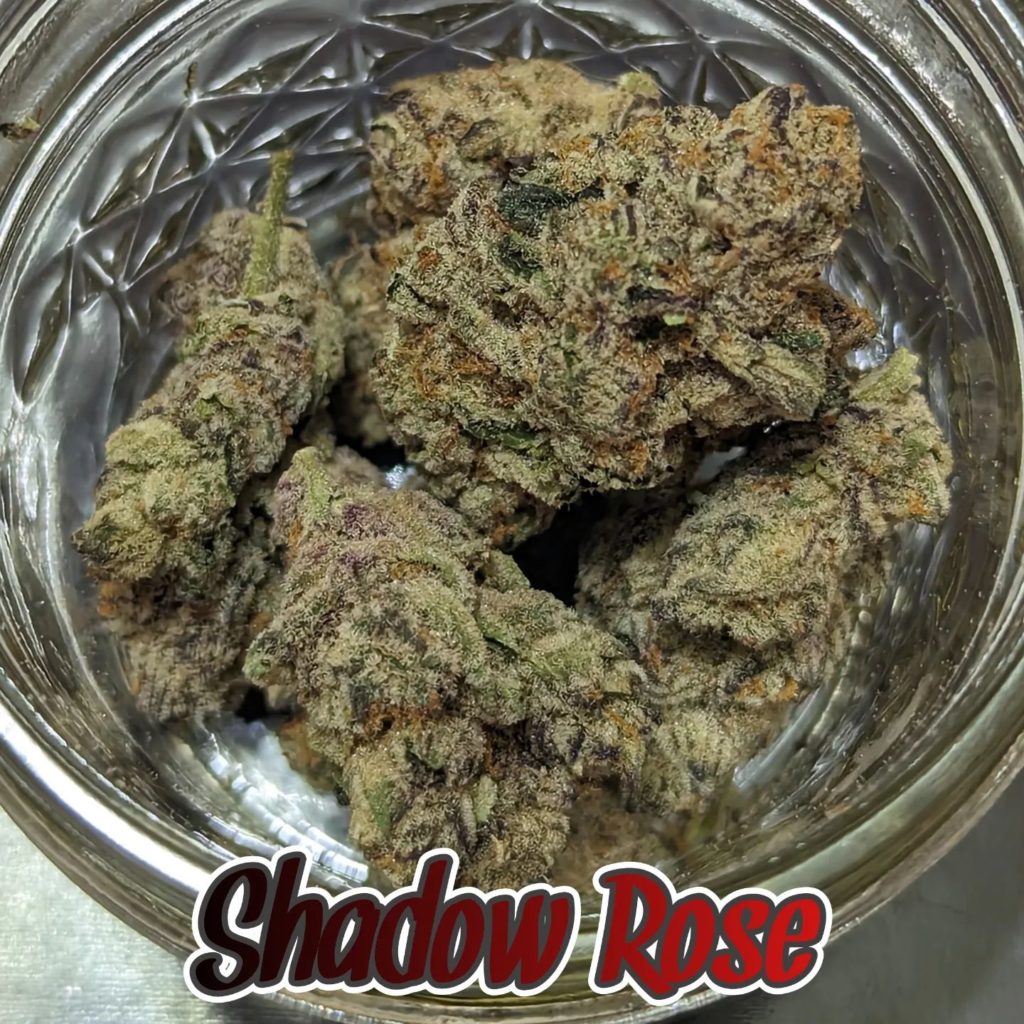 shadow rose by the undrwrld collective strain review by njmmjguy