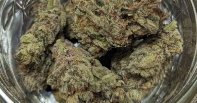 shadow rose by the undrwrld collective strain review by njmmjguy