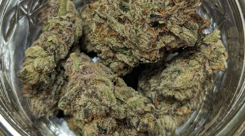 shadow rose by the undrwrld collective strain review by njmmjguy