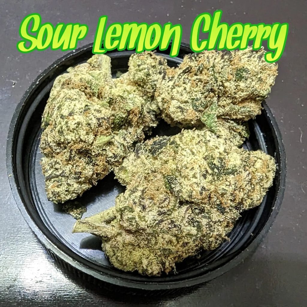 sour lemon cherry by loudpackz strain review by njmmjguy 2