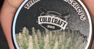 sour melonz live rosin by cold craft hash co hash review by reviews_by_jude