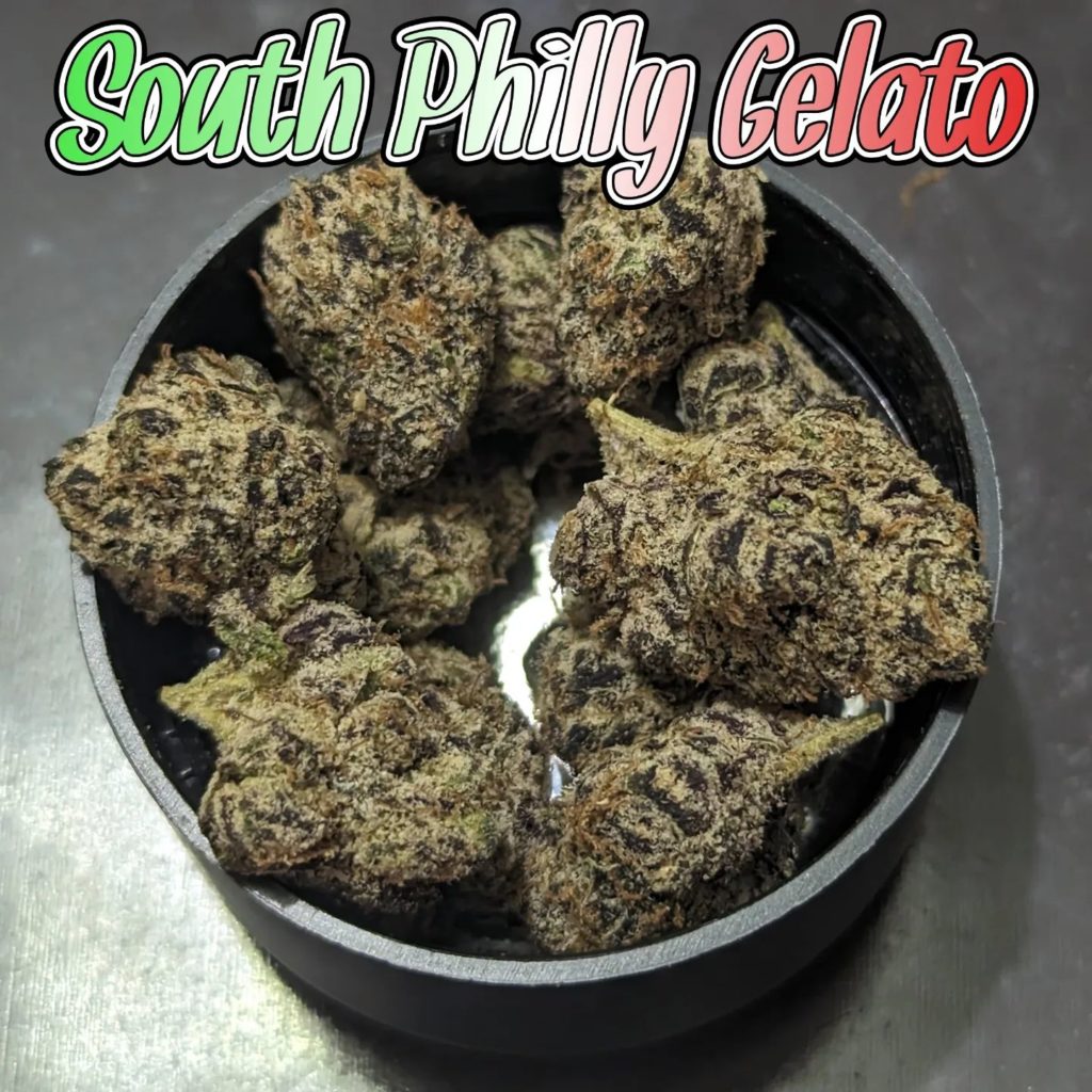 south philly gelato by high regards x south philly exotics strain review by njmmjguy 2