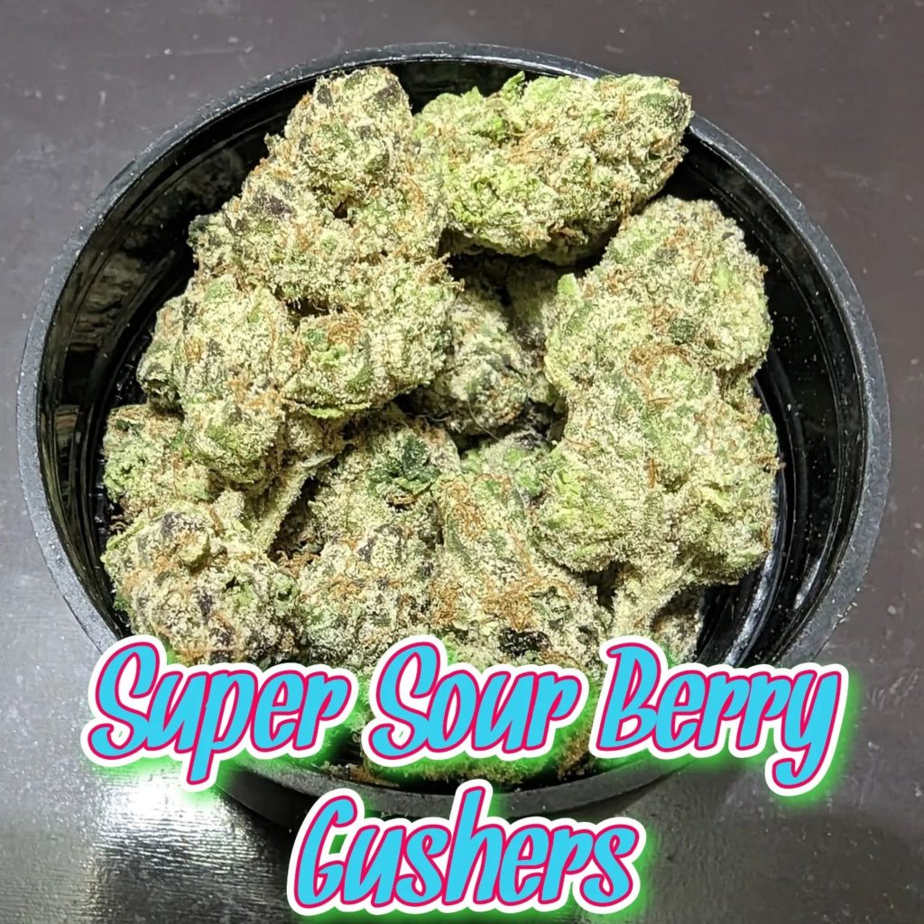 super sour berry gushers by new era exotics x fga strain review by njmmjguy 2