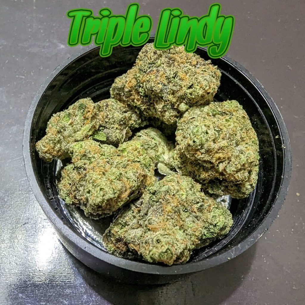 triple lindy by blueprint strain review by njmmjguy