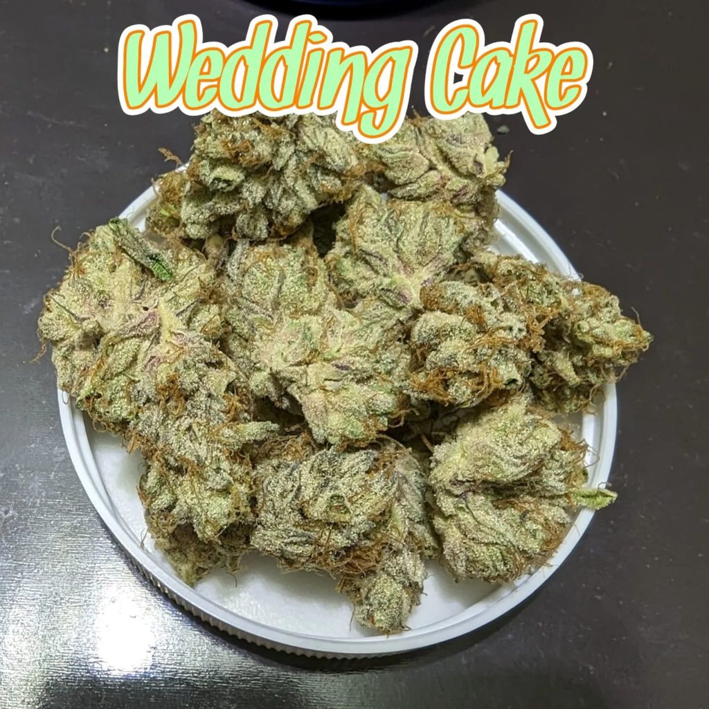 wedding cake f2 by breakwater strain review by njmmjguy 2