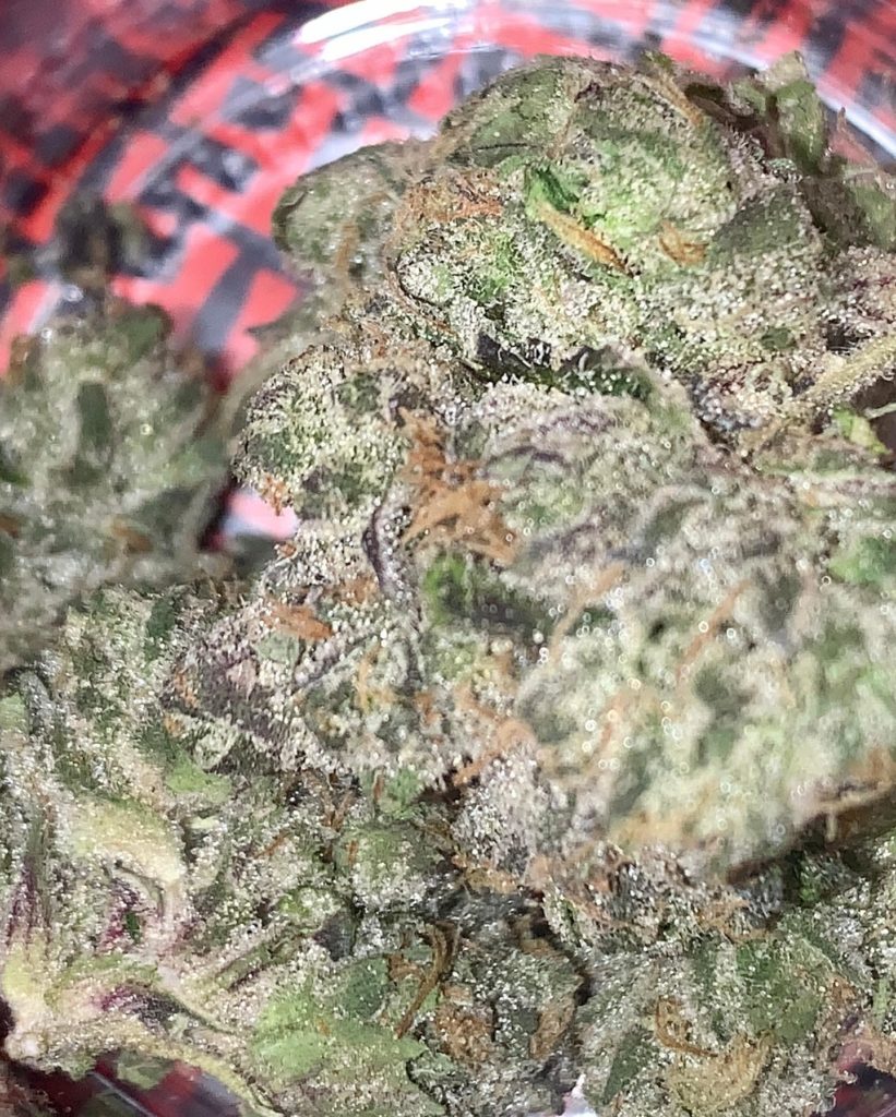 zeclair by fig farms strain review by reviews_by_jude 2