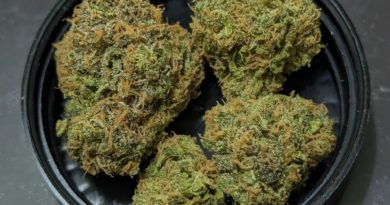 zkittlez by alien labs strain review by njmmjguy 2