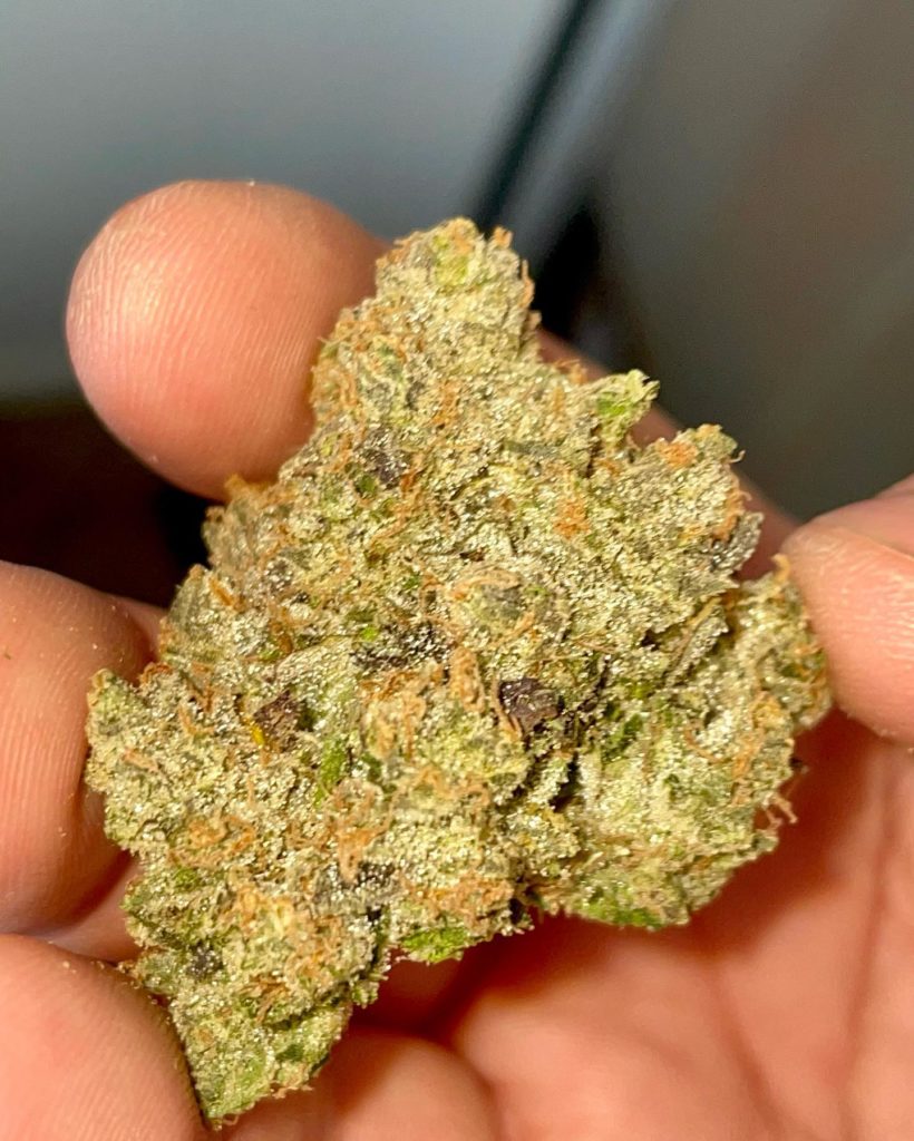 zkittlez og by upnorth strain review by review_by_jude