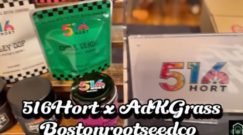 516 horticulture x adk grass x boston roots seed co at house of higher event recap by letmeseewhatusmokin x robbreefa