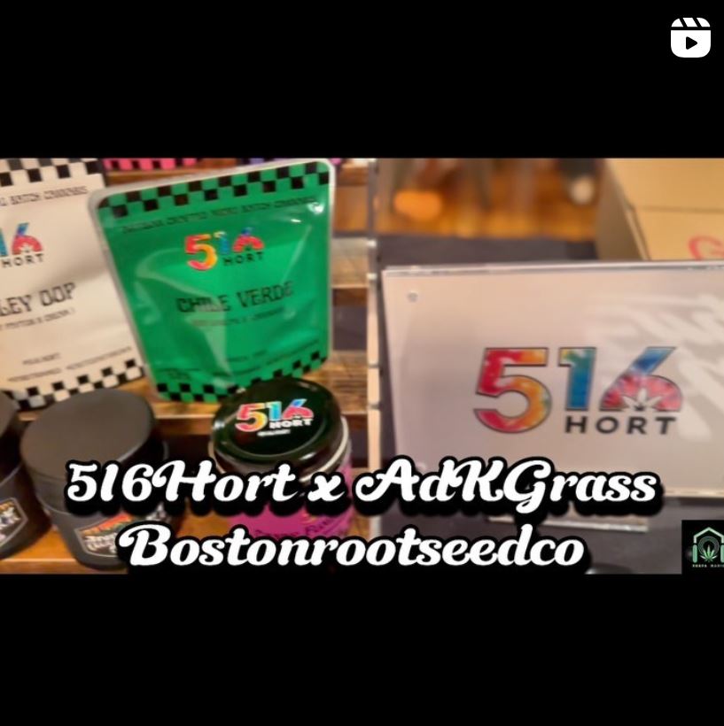 516 horticulture x adk grass x boston roots seed co at house of higher event recap by letmeseewhatusmokin x robbreefa